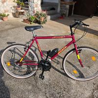 Mountain bike 26 Atala seminuova 