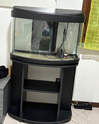 Acquario 64L