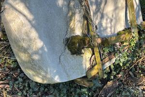 Botte da diserbo
