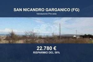 Immobile in asta di 1539 m² a San Nicandro Gargani