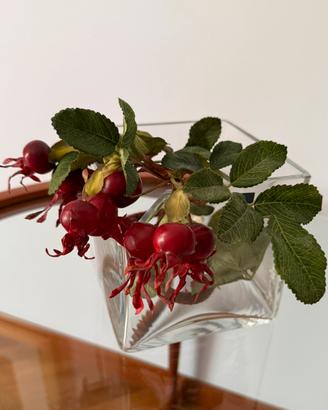 Vaso in vetro con ramo di bacche