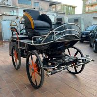 Carrozza mod. Marathon (57)