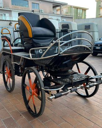 Carrozza mod. Marathon (57)