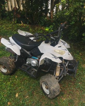 Mini quad GD srl Marte Gamma da revisionare!