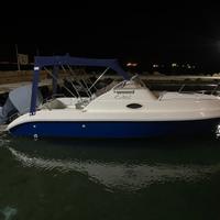 BARCA WA 21 YAMAHA 150cv