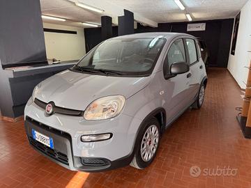 Fiat Panda 1.0 Hybrid-Benzina Semi Nuova