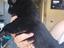 Immagine 5