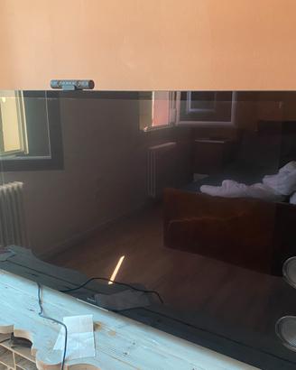 Tv sony 55 pollici
