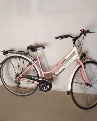 Bicicletta da donna da passeggio