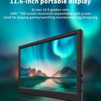 Monitor display 11.3 pollici