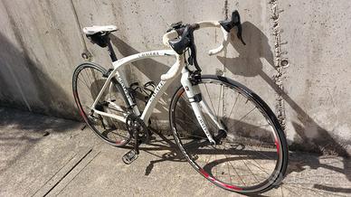 Bicicletta corsa donna carbonio Cavalera