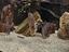Immagine 2