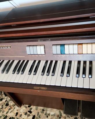 organo elettrico 
