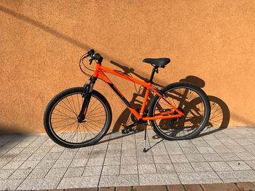 Bicicletta mountain bike uomo