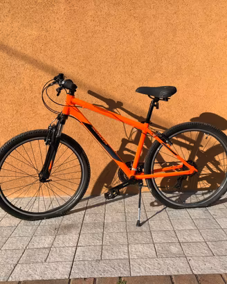 Bicicletta mountain bike uomo