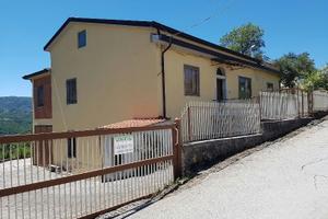 Fabbricato con capannone agricolo ed uliveto
