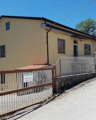 Fabbricato con capannone agricolo ed uliveto