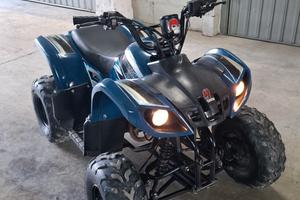 Quad 110cc 4 tempi ruote 7 pollici 