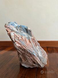 TRONCO LEGNO FOSSILE PIETRIFICATO QUARZO E PIRITE