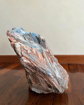 TRONCO LEGNO FOSSILE PIETRIFICATO QUARZO E PIRITE