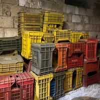 Cassette per vendemmia