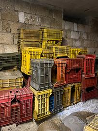 Cassette per vendemmia