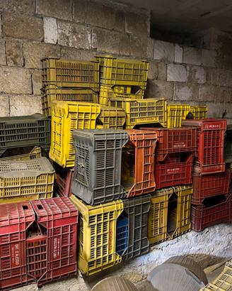 Cassette per vendemmia