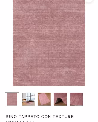 Tappeto Rug editorial Rosa