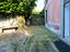 Immagine 11