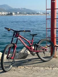 Specialized Demo race 2022 tg L