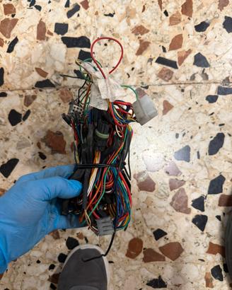 Impianto elettrico scarabeo 50