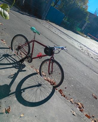 bici mtb