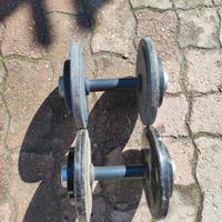 manubri da palestra 12 kg