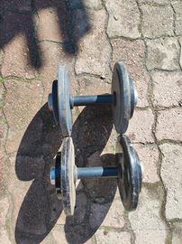 manubri da palestra 12 kg