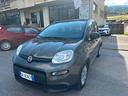fiat-panda-1-0-firefly-s-s-hybrid