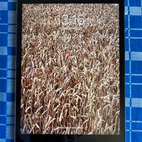 Ipad mini4 128gb ram