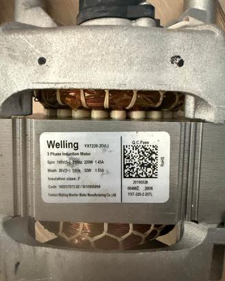 MOTORE LAVATRICE WELLING YXT220-SD(L)
