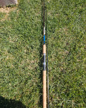 Canna Shimano ALVIO
