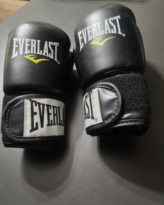 Guantoni Kick Boxing Everlast