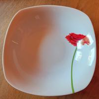 Porcellana Macronite