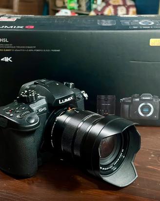 Panasonic Lumix DC-GH5 Mirrorless