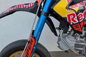 Forcelle gubellini per pit bike 735mm