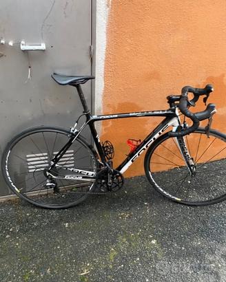 Focus izalco
