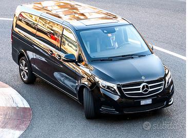 Autista di Navetta Hotel