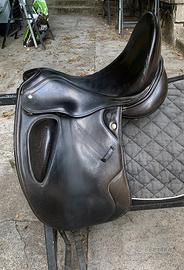 sella da dressage