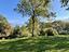 Immagine 19