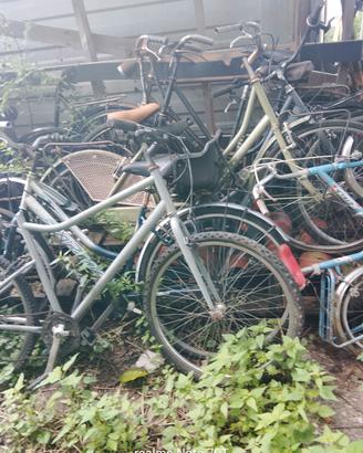 biciclette