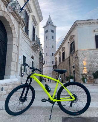 Mountain bike alluminio