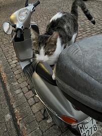 Piaggio Vespa 125 ET4 - 1997