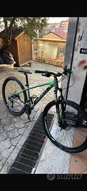 Bicicletta giant 29
